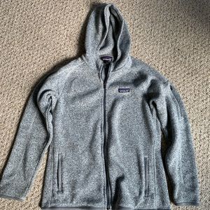 Patagonia “Better Sweater Hoody”